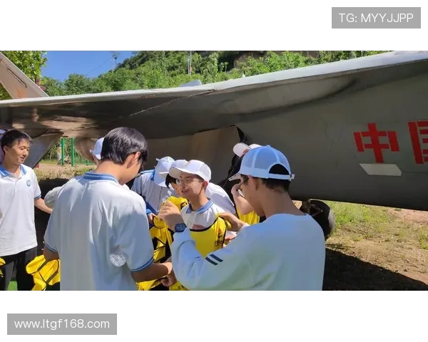 飞盘之路：陈敏分享她的成长与挑战经历