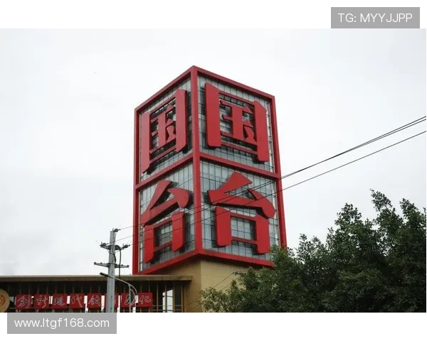 史鸿飞：在科技创新浪潮中引领未来发展的青年领袖之路